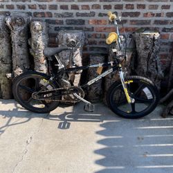 Vintage Survivor 1996 GT DYNO NSX BMX/ Z MAGS/ OGK MACH