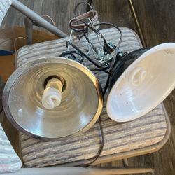 Chicken Heater Lights 