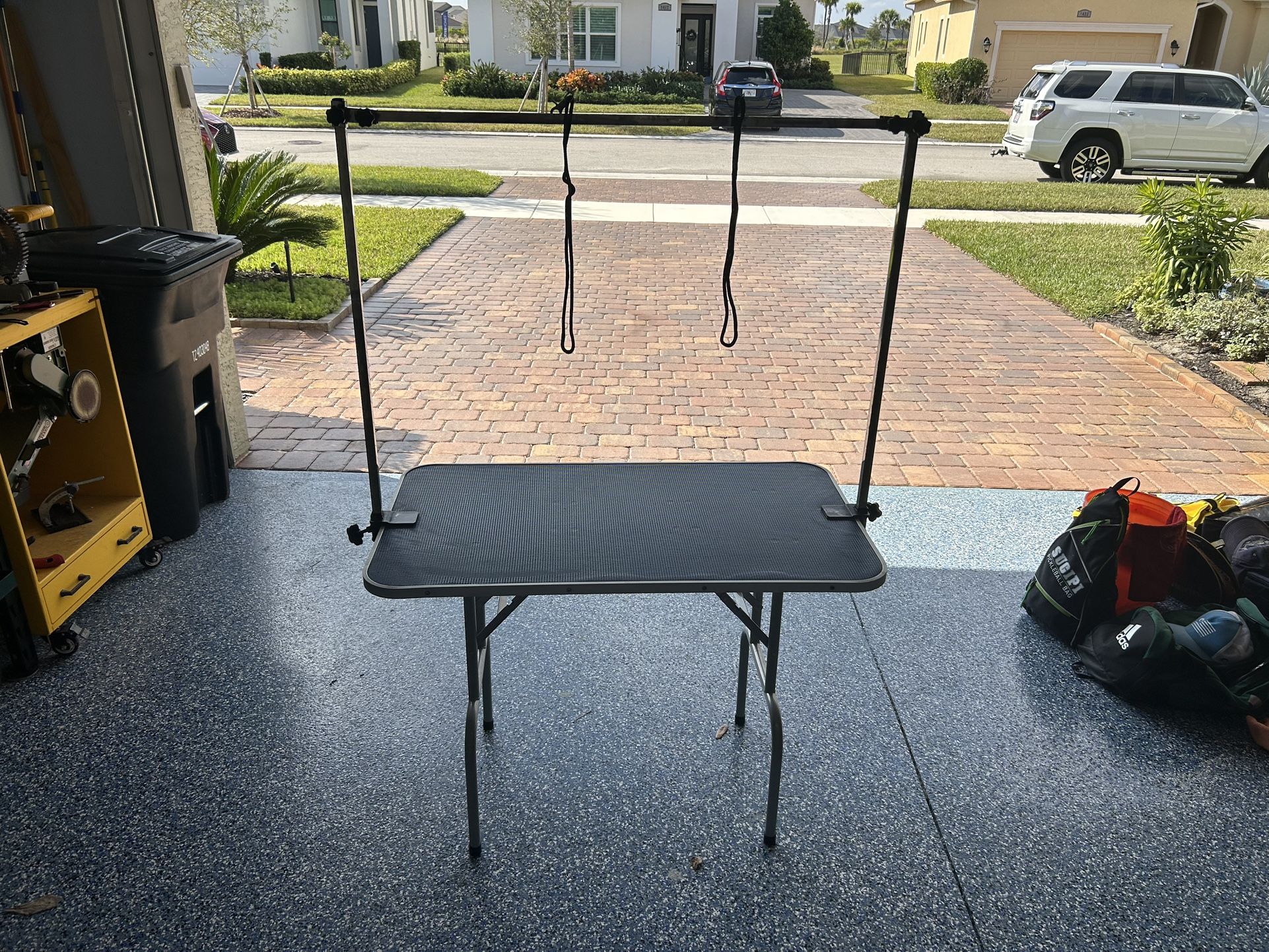Pet Washing/Grooming Table
