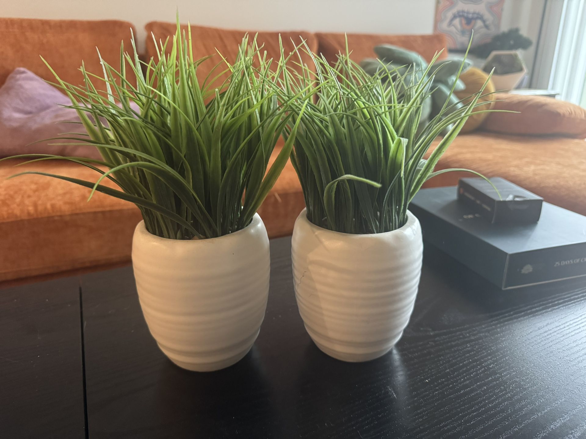 Matching Fake Plants