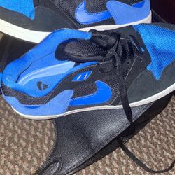 Nike Sb Alleyoop Size 9 Color Blue In Good Condition