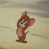 CuriousMouse