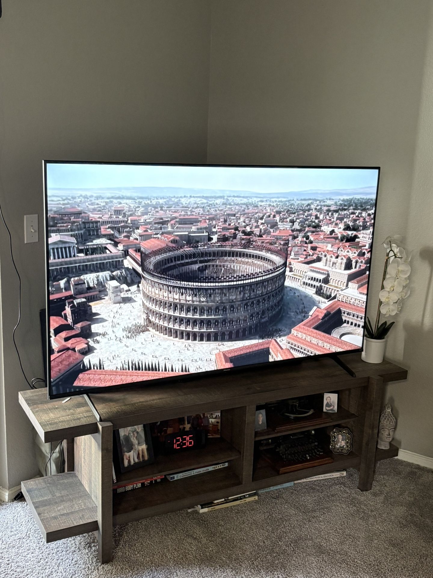 65’ TV with Stand
