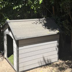 Dog House 