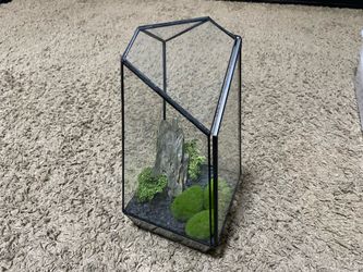 Terrariums