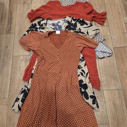 Four (4) Medium Size Above the Knee Fall Tone Dresses