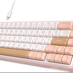 RK ROYAL KLUDGE R65 Wired Mechanical Keyboard with Volume Knob, 60% Percent RGB Backlit Gasket Mount Gaming Keyboard with PBT Keycaps, MDA Profile, QM