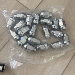Lugnuts & Lug Adapter