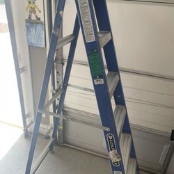 Louisville Ladder 6’ 225 lbs