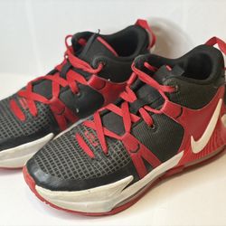 Nike LeBron High Tips 5.5y