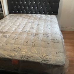 Cama Queen Size Nueva En Caja Incluye Colchon