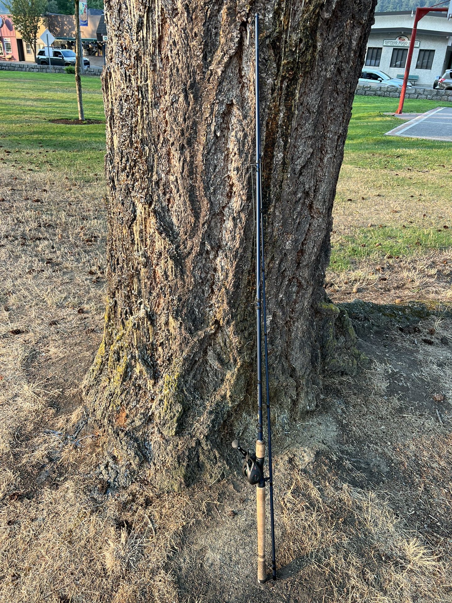 Fenwick 10.6ft Fishing Pole Rod