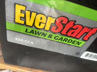 EverStart Lawn & Garden Battery 250 CCA Brand New Price is Firm!!!