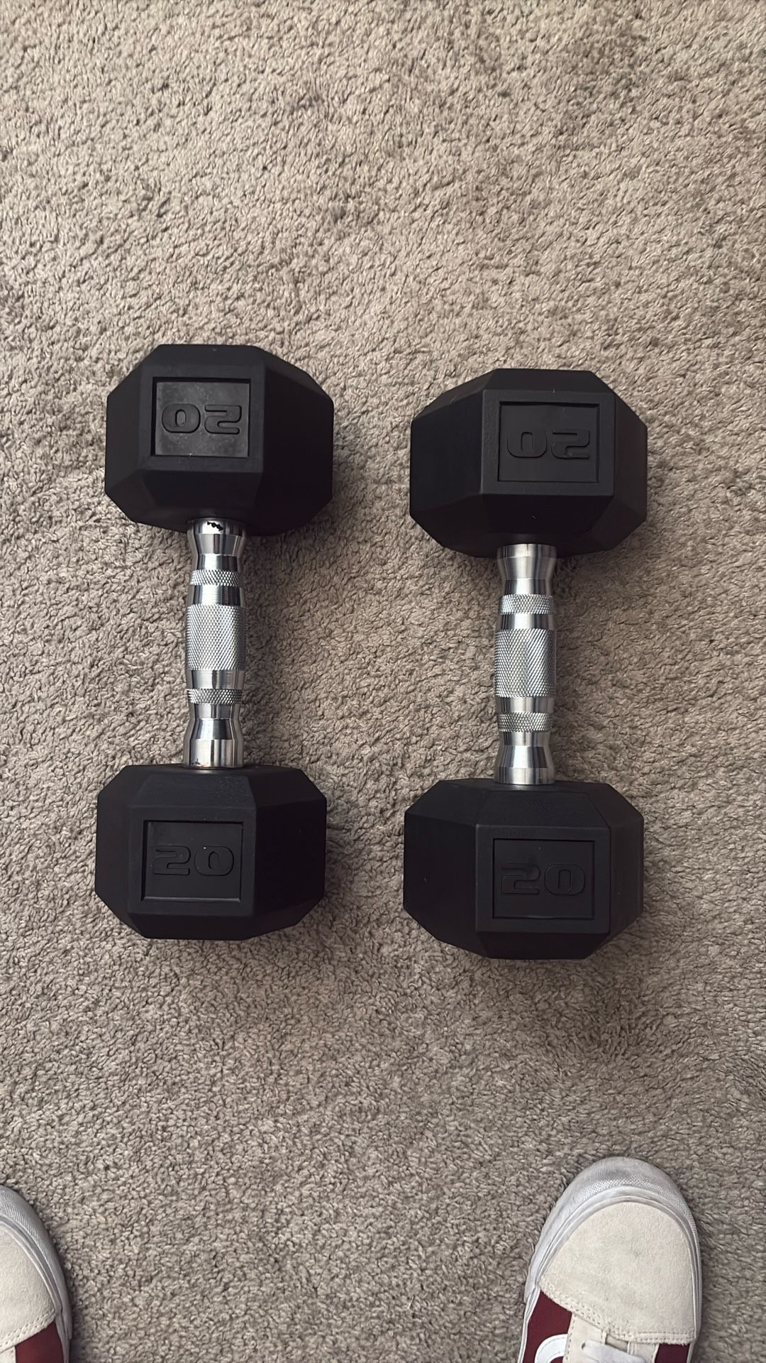 20lbs Dumbbells 