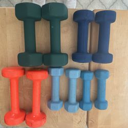 Lot Of 5 Pairs Of Hand Weights (10 Dumbbells) 2, 3, 5, 8 Lb 