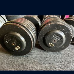 Pro Style Dumbbells 
