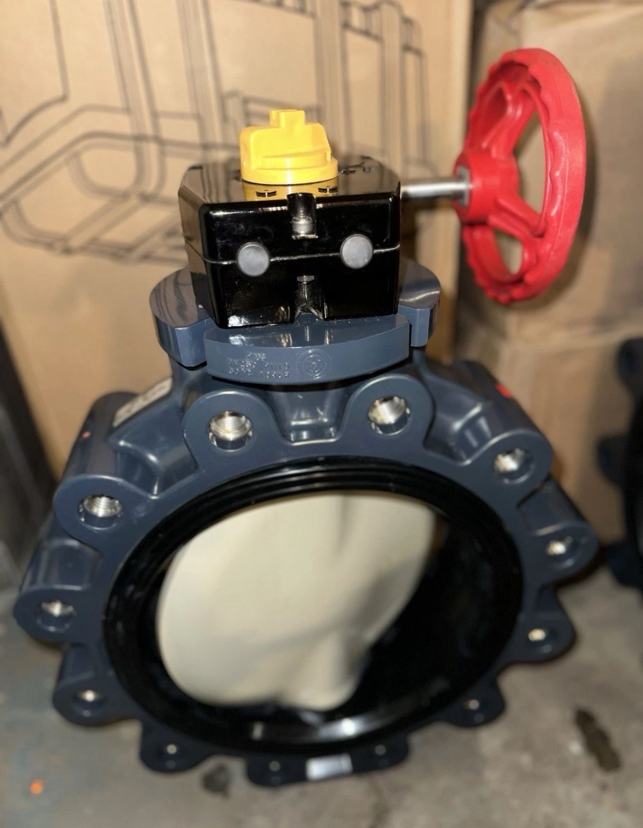 Asahi / American 10” Butterfly Valve Type 57L