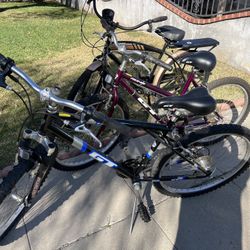 2 Mountain Bikes and 1 Beach Cruiser 