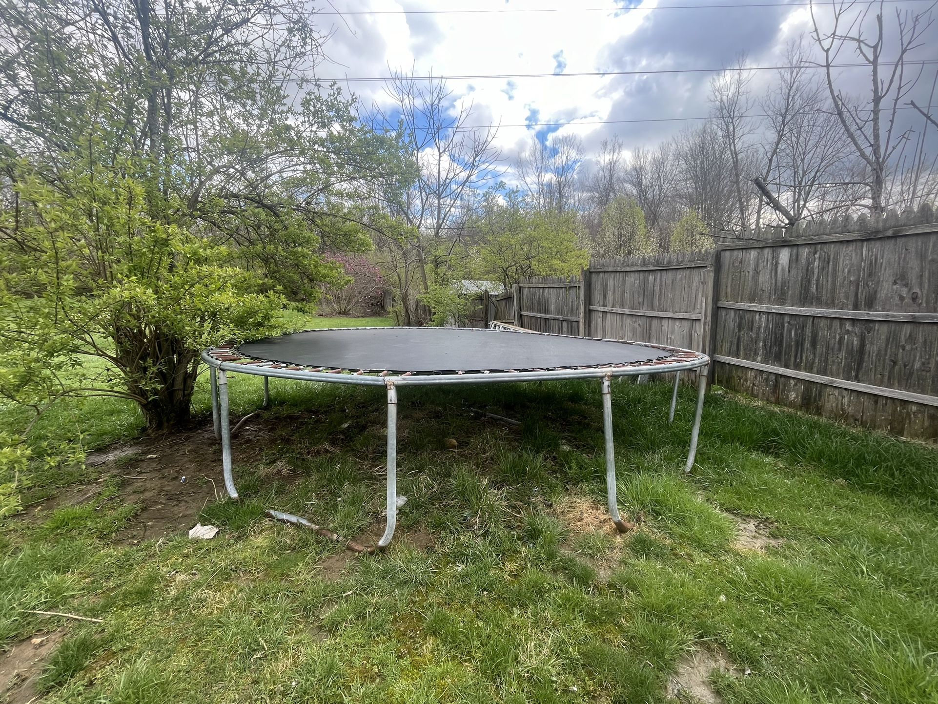 Trampoline 