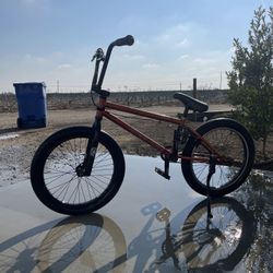 Kink Curb BMX