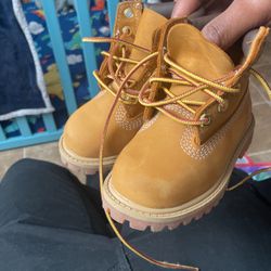 Timberland 