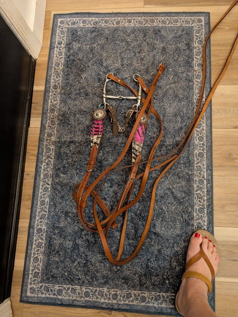 Leather Horse Bridle And Reins
