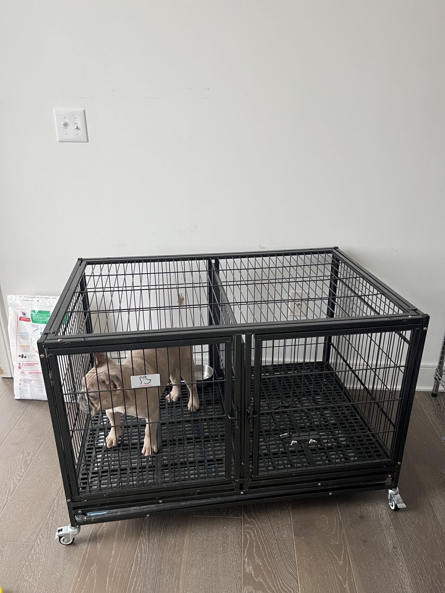 Black Dog Cage