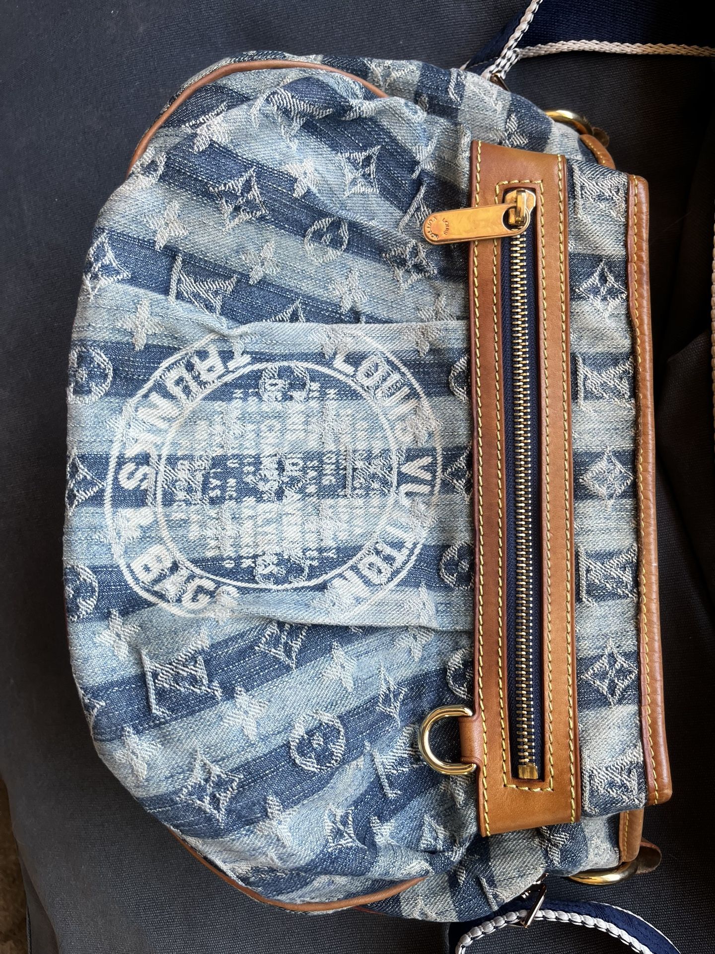 Louis Vuitton Blue Monogram Bag