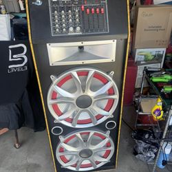 Dolphin Professional Speaker