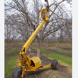  Todo Bueno Conaicion