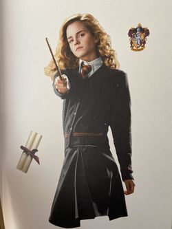 Harry Potter Classic Wall Decades (various sizes) 