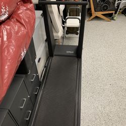 Treadmill True 450