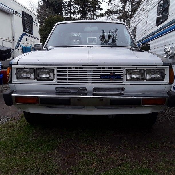 1981 Datsun Pickup