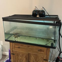 Turtle/fish Tank And Filter 