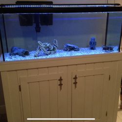 75 Gallon Fish Tank With Custom Built Stand 