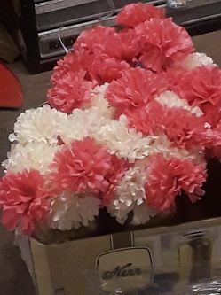 Pink and white flowers
