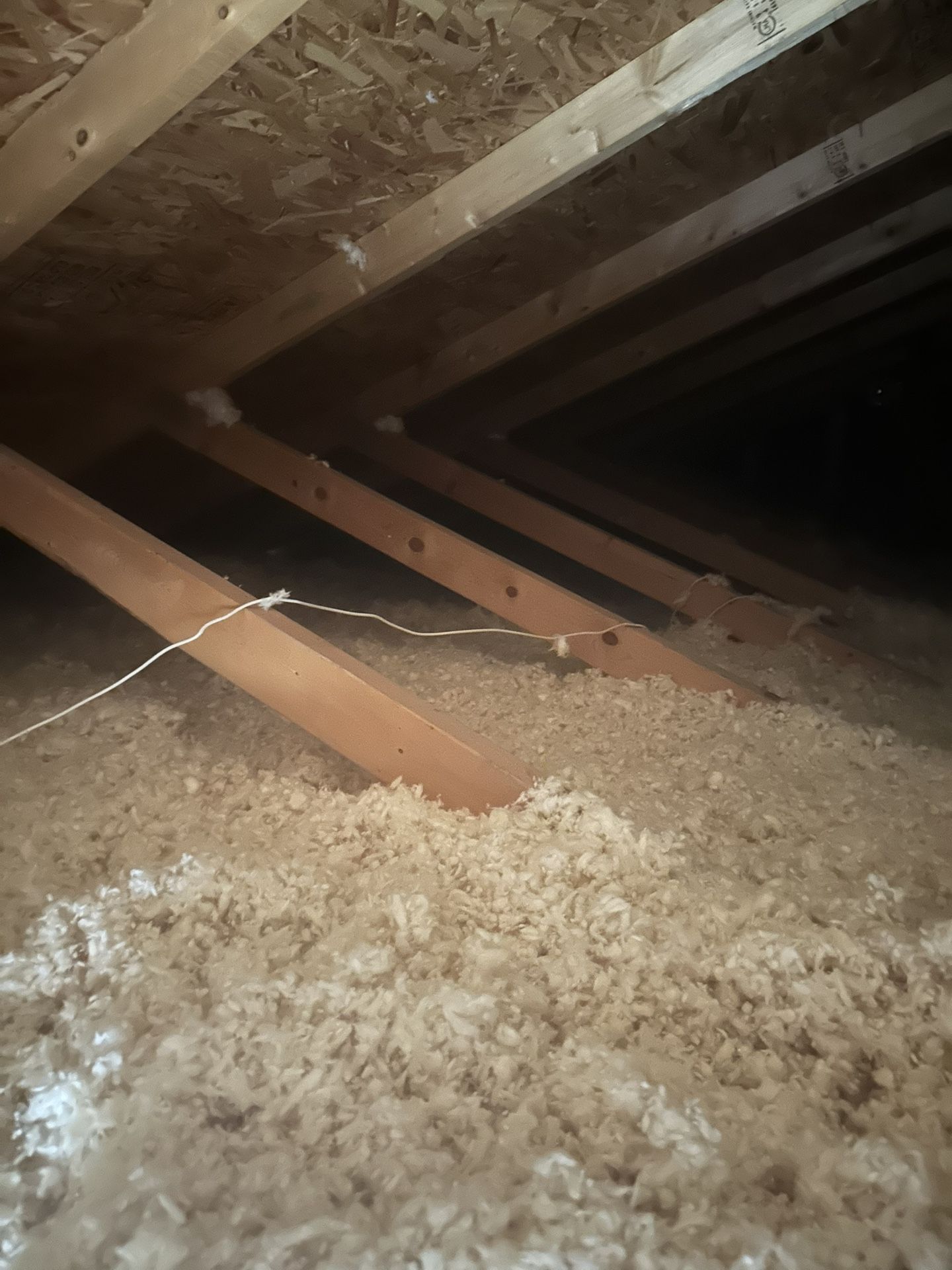 2 Car Garage Attic