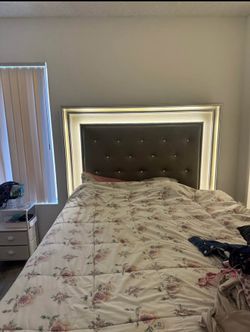Bed