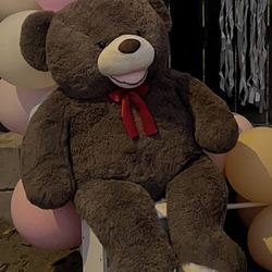 Huge teddy Bear 