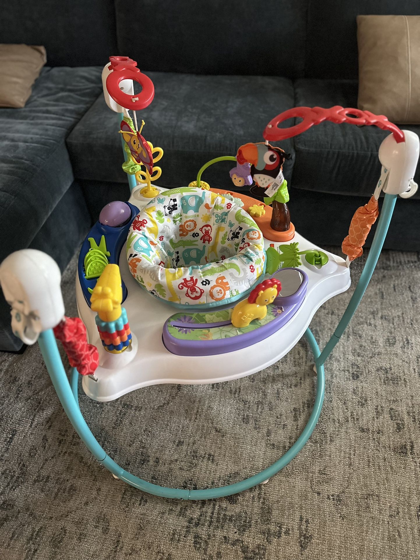Baby Bouncer