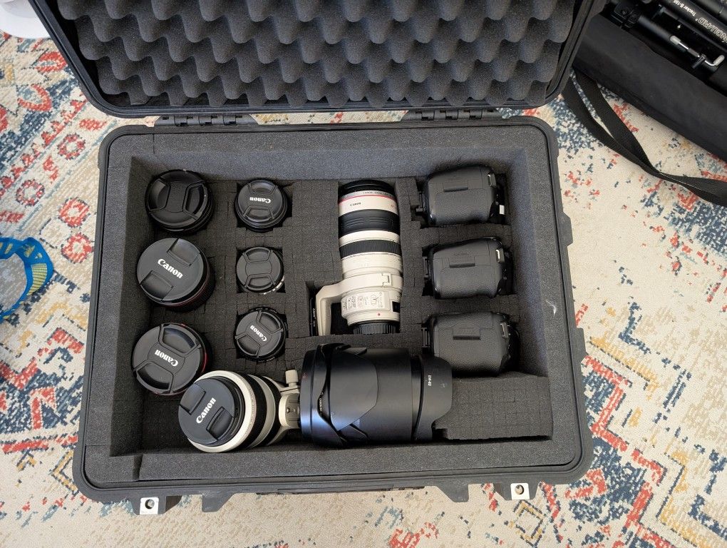 Canon Professional Photography Setup