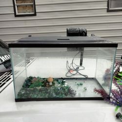 Fish Tank 