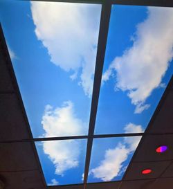 LED Light Panel 2x4 Sky Light
