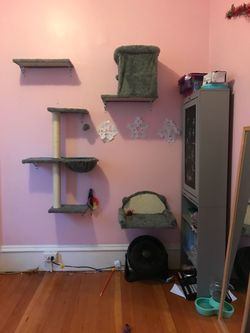 Cat wall perch's