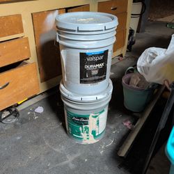 10 Gallons Paint. Interior And Exterior Tan