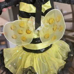 Pet Bee 🐝 Costume 