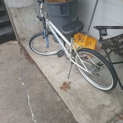 24 Inch Bike