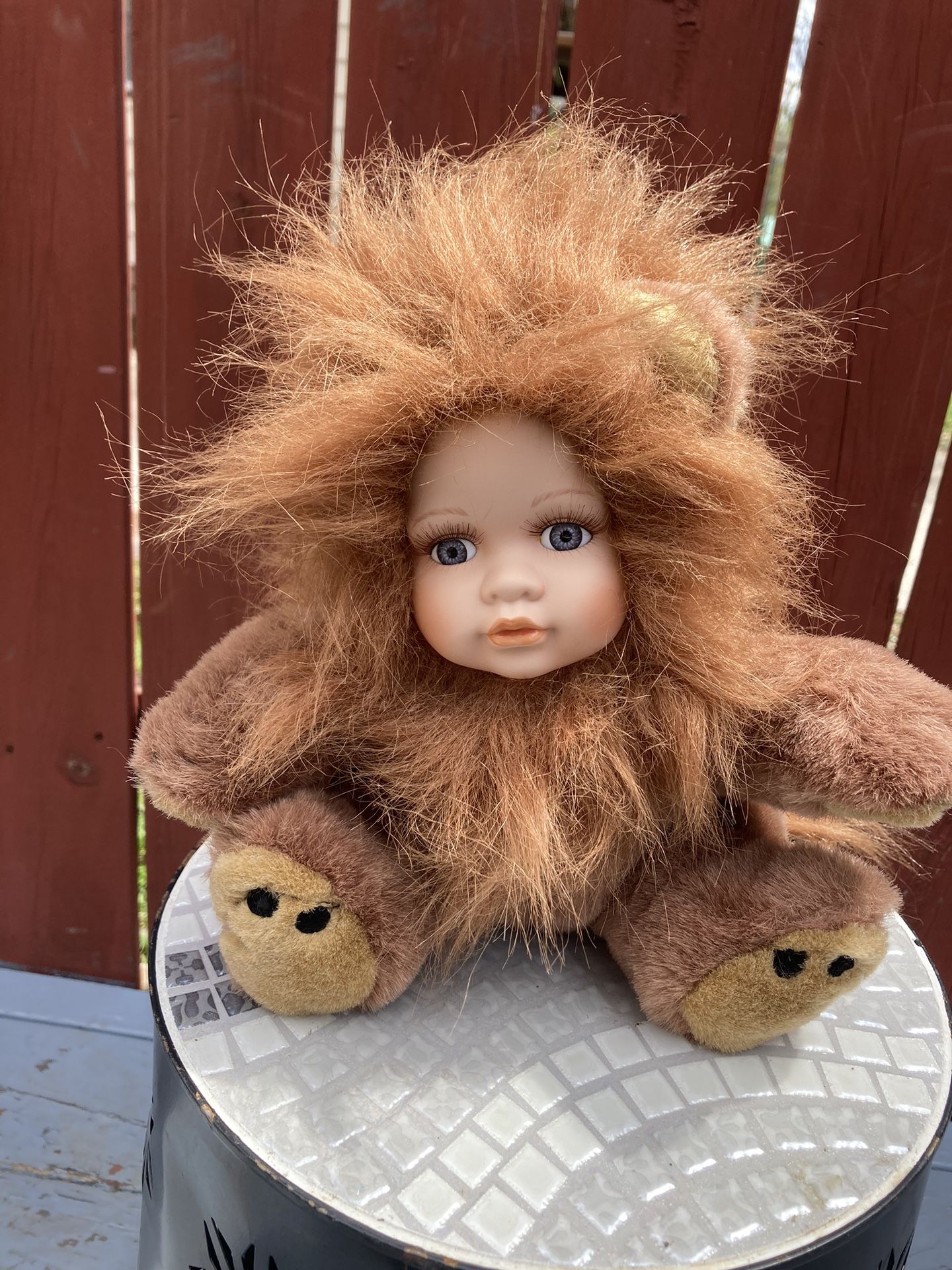 Born To Be Wild Rory Lion
