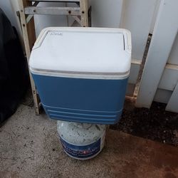 Cooler 