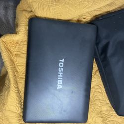 Toshiba Laptop  Great  Deal 